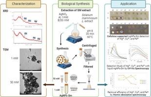 Rapid, low-cost determination of Hg2+, Cu2+, and Fe3+ using a cellulose paper-based sensor and UV–vis method with silver nanoparticles synthesized with S. mammosum