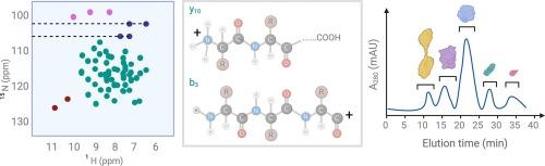 Let’s get biophysical – How to get your favorite protein’s digits