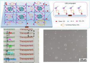 Transparent, robust, and anti-fingerprint silicone coating with a three-dimensional cross-linked network enabled by hydrosilylation reaction