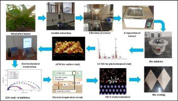 Corrosion inhibition assessment of a sustainable inhibitor from the weed plant (Pouzolzia zeylanica L.) on SS-410 surface in 0.5 M HCl acidic medium