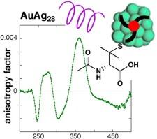 One-pot synthesis and chiroptical activity of single Au-atom doped AuAg28 clusters protected by water-soluble chiral monothiol N‑acetyl‑(S)‑penicillamine (S-NAP)