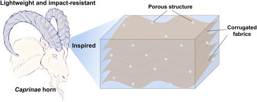 Horn sheath-inspired lightweight composites with enhanced impact resistance