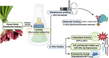 Identification of novel functional compounds from forest onion and its biological activities against breast cancer