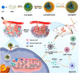 A cuproptosis-based nanomedicine suppresses triple negative breast cancers by regulating tumor microenvironment and eliminating cancer stem cells