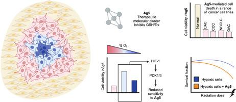 The activity of therapeutic molecular cluster Ag5 is dependent on oxygen level and HIF-1 mediated signalling