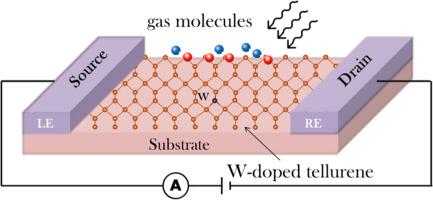 Adsorption and sensing potential of tungsten (W) doped beta tellurene (β-Te) monolayer towards nitrogen oxides: A first principle study