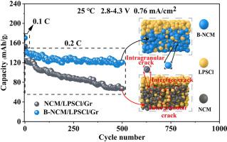 Surface engineering of nickel-rich single-crystal layered oxide cathode enables high-capacity and long cycle-life sulfide all-solid-state batteries