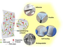 Bioinspired poly(vinyl alcohol) films with tunable adhesion and self-healing for biodegradable electronics and beyond