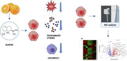 Valencene ameliorates ox-LDL induced foam cell formation by suppressing inflammation and modulating key proteins involved in the atherogenesis on THP-1 derived macrophages