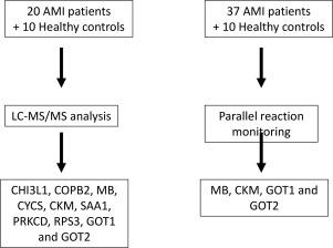 Plasma proteomics implicate glutamic oxaloacetic transaminases as potential markers for acute myocardial infarction