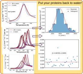 Differential scanning calorimetry of proteins and Zimm–Bragg model in water