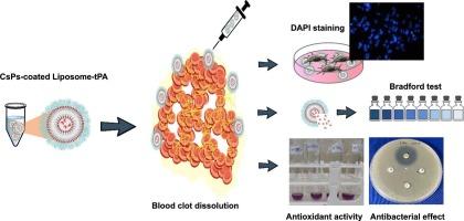 Preparation and in vitro evaluation of tissue plasminogen activator-loaded nanoliposomes with anticoagulant coating