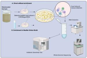 Characterization of methicillin resistant Staphylococcus Aureus in municipal wastewater in Finland