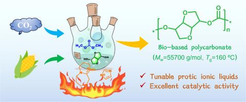 Tunable protic ionic liquid catalysts for the efficient one-step synthesis of isosorbide-based polycarbonates