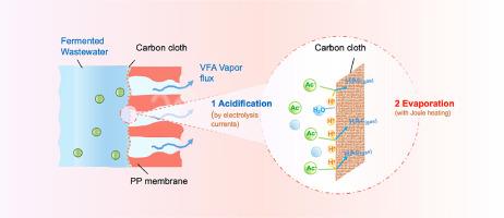 Membrane electrolysis distillation for volatile fatty acids extraction from pH-neutral fermented wastewater