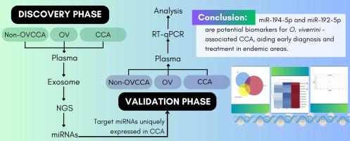 microRNA profiling of exosomes derived from plasma and their potential as biomarkers for Opisthorchis viverrini-associated cholangiocarcinoma