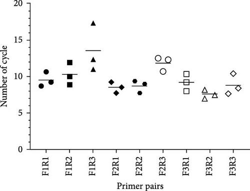 Development and Application of an RPA-Based Rapid Point-of-Care Testing (POCT) Method for the Detection of Feline Panleukopenia Virus