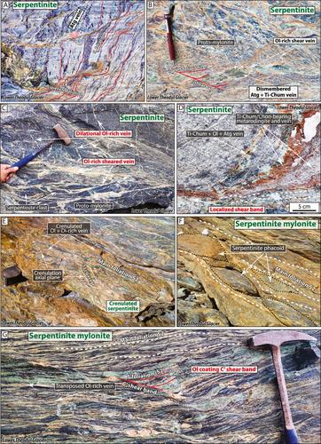 Fluid-Driven Shear Instabilities in the Subducted Oceanic Mantle at Intermediate Depths: Insights From Western Alps Meta-Ophiolites