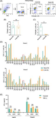 TCRvβ8 chimeric antigen receptor natural killer cells exhibit potent preclinical activity against T-cell malignancies