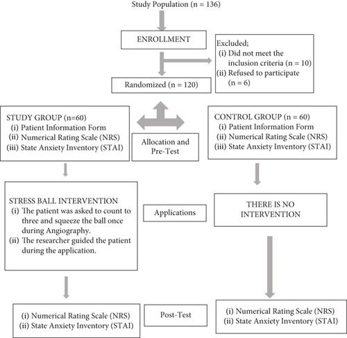 The Effect of Stress Ball on Anxiety and Pain Levels in Angiography: A Randomized Controlled Trial