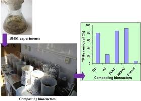 Biodegradation of oily waste sludge using vermiremediation and composting process bioaugmentated with isolated hydrocarbon-degrading bacteria: Performance and ecotoxicity assessment