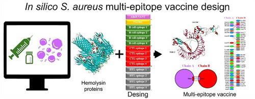 Immunoinformatic approach for multi-epitope vaccine design against Staphylococcus aureus based on hemolysin proteins