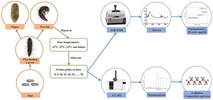 Estimating the weathering time of the final instar exuviae of Dermestes frischii by ATR-FTIR spectroscopy and GC–MS analysis