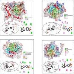 Investigation of antibacterial and antifungal properties of benzene sulfonamide derivatives by experimental and computational studies