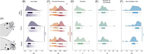 Vocal tract dynamics shape the formant structure of conditioned vocalizations in a harbor seal