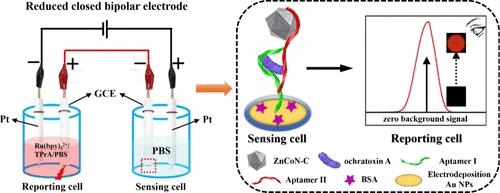 Zero-Background Dual-Mode Closed Bipolar Electrode Electrochemiluminescence Biosensor Based on ZnCoN-C Potential Regulation for Ultrasensitive Detection of Ochratoxin A