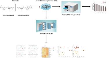 Enantioselective toxicity effect and mechanisms of bifenthrin enantiomers on normal human hepatocytes