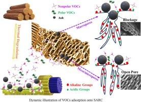 Influence of super activated renewable carbon (SARC) on the adsorption of volatile organic compounds (VOCs) in low-carbon composites (LCCs)