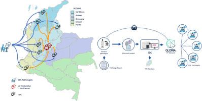 Globalization of a telepathology network with artificial intelligence applications in Colombia: The GLORIA program study protocol