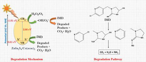 Novel ZnIn2S4/Co(acac)2: An inorganic-organic hybrid nanocomposite for enhanced removal of imidacloprid from aqueous phase