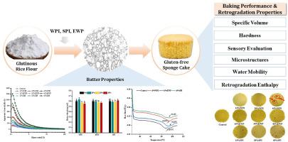 Effect of exogenous protein substitution in glutinous rice cake: Batter rheology, structure, and retrogradation behavior