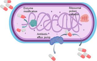 Mechanisms of tigecycline resistance in Gram-negative bacteria: A narrative review