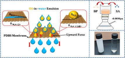 Sheep bone powder modified PVDF membrane for highlyefficient oil-in-water emulsion separation