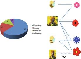 Association of wild pollinators of Megachilid bees (Hymenoptera: Megachilidae) and their host plants in diverse agroecosystems in Jammu, India