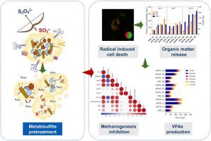 Feasibility assessment and underlying mechanisms of metabisulfite pretreatment for enhanced volatile fatty acids production from anaerobic sludge fermentation