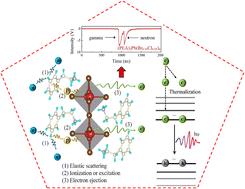 Characterization of Cl-doped two-dimensional (PEA)2PbBr4 perovskite single crystals for fast neutron and gamma ray detection†