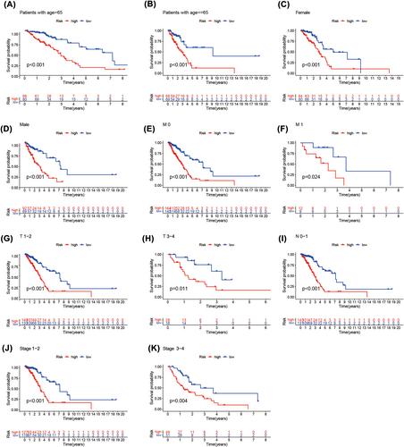 A methylation-related lncRNA-based prediction model in lung adenocarcinomas