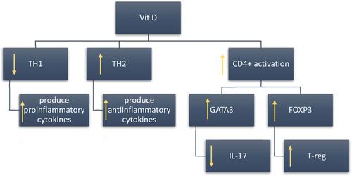 Role of nutraceuticals in viral infections as immunomodulators: A comprehensive review