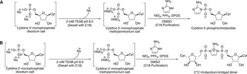 Preparation of 2-Aminoimidazole-Activated Substrates for the Study of Nonenzymatic Genome Replication