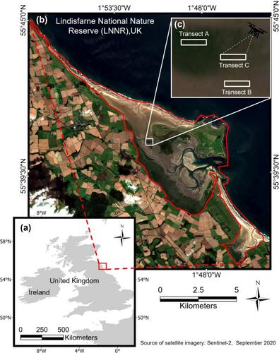 Evaluating UAV-based multispectral imagery for mapping an intertidal seagrass environment