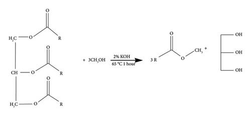 Chemical Profiling of the White and Brown Teff (Eragrostis tef (Zuccagni) Trotter) Injera and Their Nutritional Properties