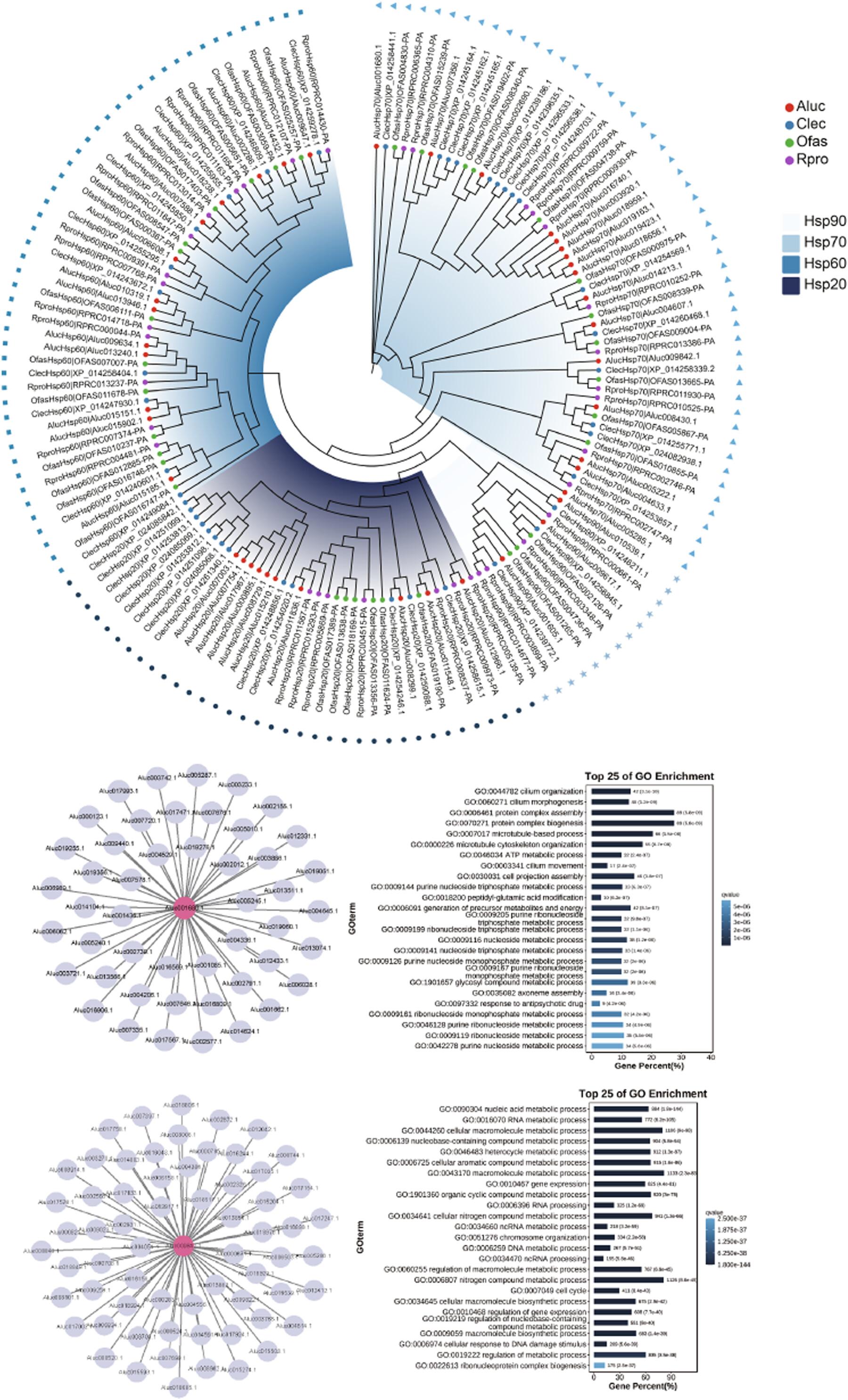 Genome-wide identification and coexpression network analysis of heat shock protein superfamily in Apolygus lucorum