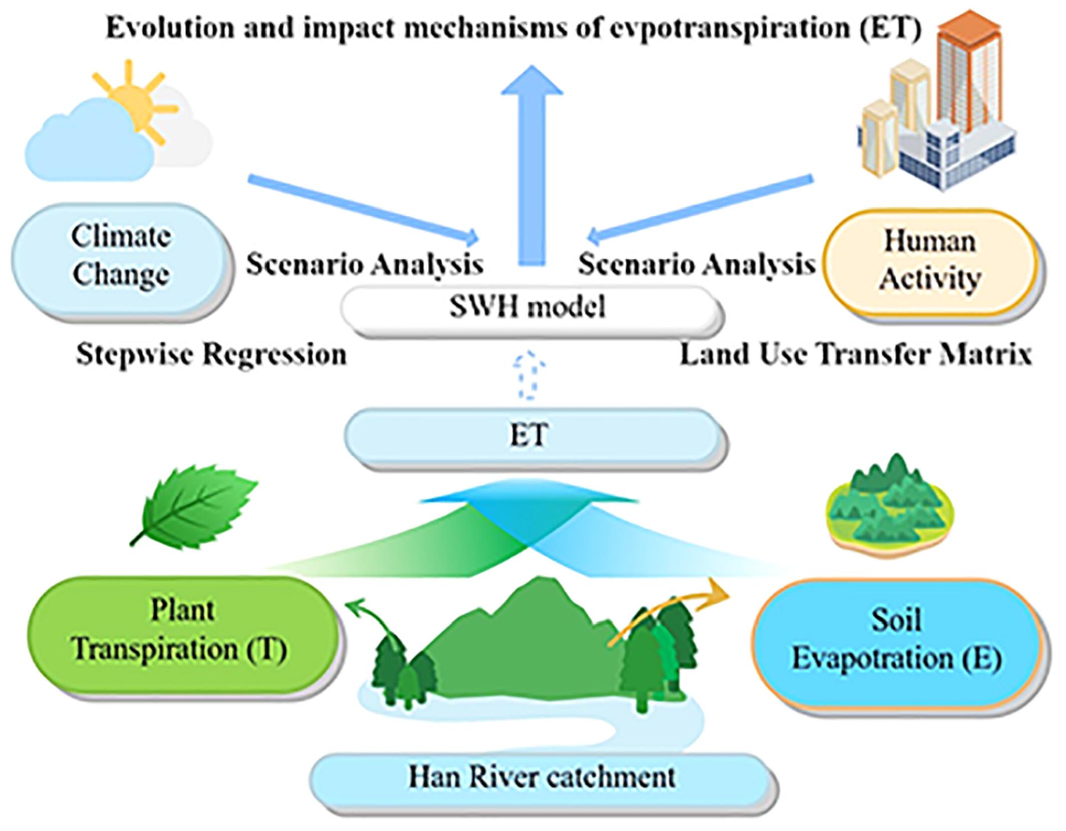 Evolution of evapotranspiration in the context of land cover/climate change in the Han River catchment of China