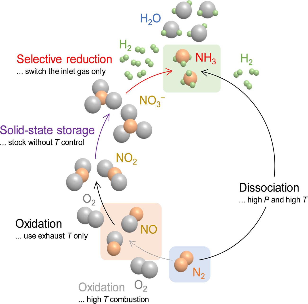 Utilization of Reactive Nitrogen Compounds for Nitrogen Circular Economy