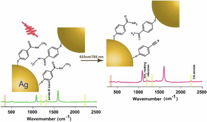 Plasmon-driven chemical transformation of a secondary amide probed by surface enhanced Raman scattering