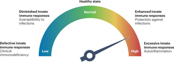 The past 25 years in paediatric rheumatology: insights from monogenic diseases